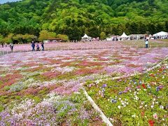 GW明けの平日、渋滞もなく、途中「談合坂SA」に立ち寄り、10：00に「富士芝桜まつり会場」へ到着。

広々とした団体バス駐車場は、なんと満車！
外国（主に中国）からのバスツアーが殆ど占めていました。