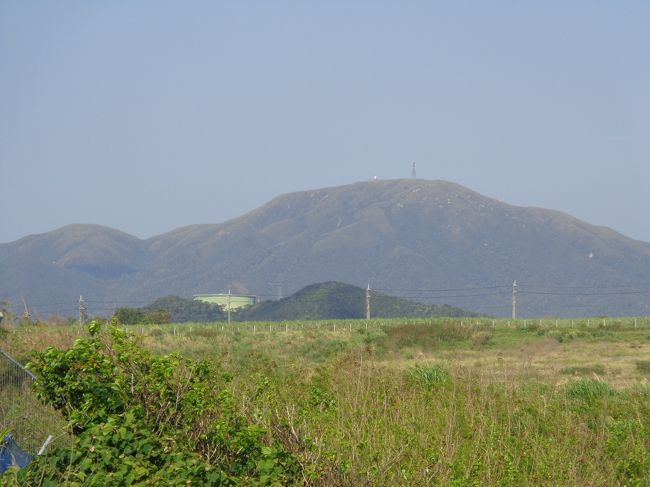 500ｍほどの山