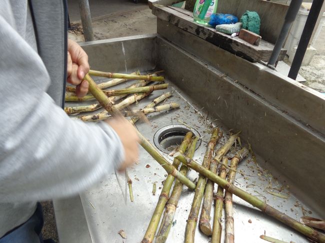 砂糖キビしぼり