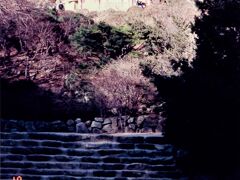 釜山～慶州間は激安高速バスにて移動。仏国寺観光団地に泊まる。
大みそか31日は朝から仏国寺の駐車場からマイクロバスで一気に山の上・石窟庵へ。
この石段を上ると石のドーム。（撮影禁止です）