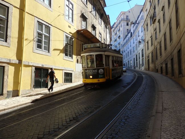 市電が走っています