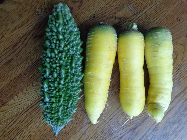 ニンジンは黄色