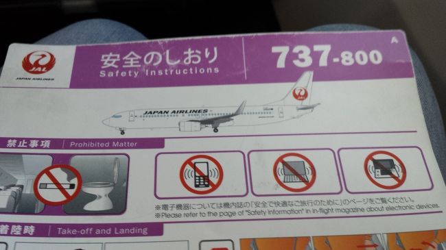 この737ちょっと雰囲気が違います。<br />あっ、パーソナルモニターがある。<br />座席も黒くないし。。。