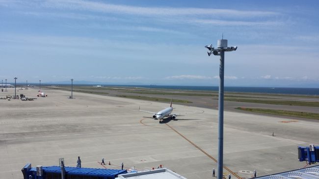 アシアナが到着して、スポットに入ります。