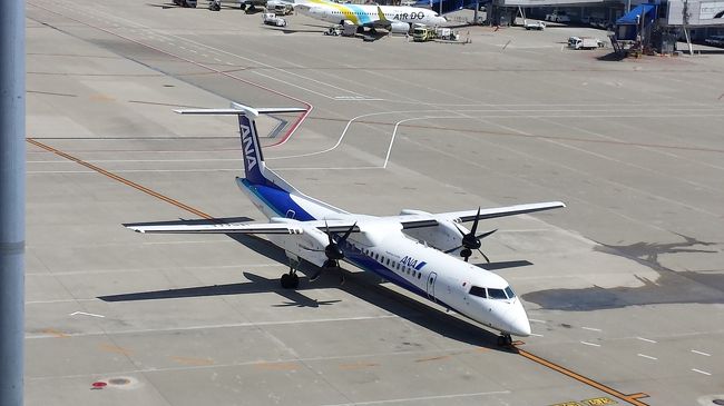 プロペラ機には乗ったことがありません。<br />格好良くて結構長い時間見とれていました。