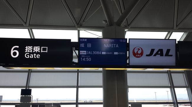 成田を経由して海外へ行かれる方が沢山いそうでした。<br />ガイドブック見ながら楽しそうで、うらやましいです。