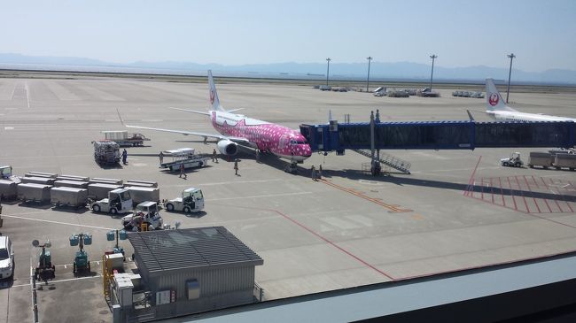 沖縄便のジンベイザメが隣に止まっています。<br />今回のJAL楽行50回搭乗では、たぶん沖縄へは行きません。<br />時間もお金もかかりますので。