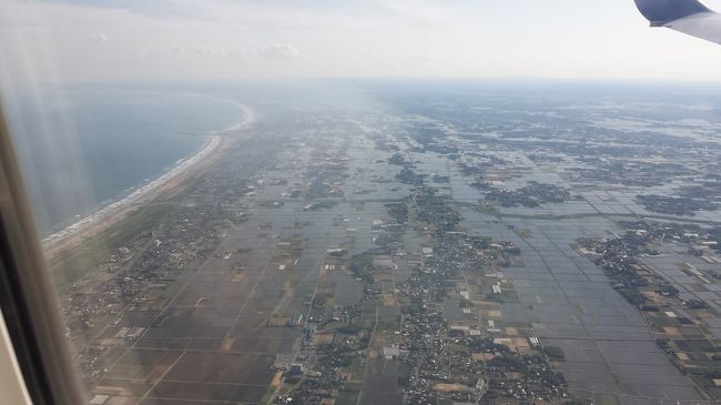 伊豆半島の先から房総半島を回って、九十九里から内陸に入っているのでしょうか。田んぼに水がいっぱいです。