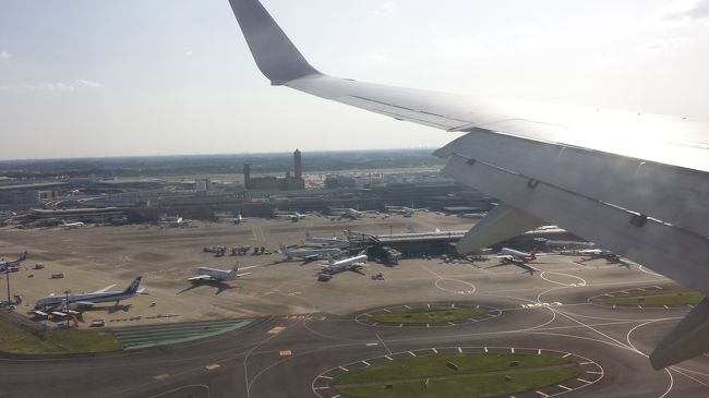 成田着陸です。<br />滑走路への着陸待ち飛行機が2機見えました。