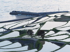 イロハ島から橋を渡り　長崎県に入り　福島に渡り

海の駅で少し停車して　お昼を食べてから

 

松浦市の小さな島の福島の　土谷の棚田に向かいます

ここは棚田１００選の中でも　指折りらしい

 

ここは高圧電線もなく　玄海灘に開けている棚田です

昨日の浜野浦に比べて　横に広いし棚田の中にも入れるので

開放感あふれます