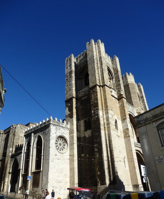 かなり大きいです