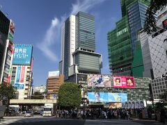 東京・渋谷スクランブル交差点の写真。