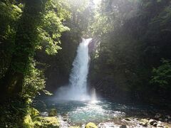 伊東から、西伊豆に向かう途中にある、浄蓮の滝。

石川さゆりの「天城越え」に出てくるので有名です。

何十回も伊豆に来ていますが、寄るのは初めて。