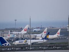 この先どこ行くか悩み羽田空港へ行きました♪
おぉー♪飛行機いっぱい！空港に来ると何処か高飛びしたくなります…（笑）