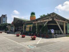 見えてきました！会場になっている希望広場です。