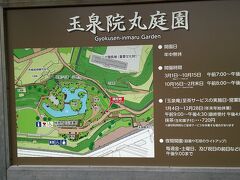 １０分ほど歩いて玉泉院丸庭園に来ました
三代藩主前田利常が作庭をはじめ、廃藩時まで城内にあった庭園を再現したものだそうです