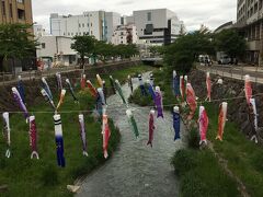 女鳥羽川を渡って中町通りへ
鯉のぼりがゆらゆらと。