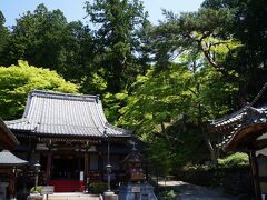 温泉寺は、下呂温泉に伝わる白鷺伝説の薬師如来が祀られた寺だそうです。