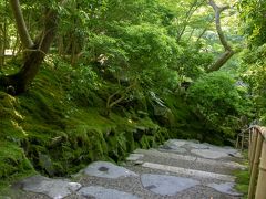 そして瑠璃光院。
紅葉が有名なお寺なのですが
情弱の私は一週間くらい前まで
このお寺の存在は知りませんでした(^^;