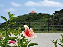 玉取崎展望台にやってきた。
駐車場から展望台を見る。