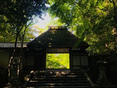 茅葺で数寄屋造の山門を通してみる新緑の美しさにしびれました

山門では写真を撮る人、通過する人がいるので、人を入れずに写真を取りたければタイミングを待ちましょう