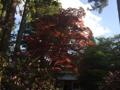 高野山霊宝館

高野山にゆかりのある仏像や書が収められている
弘法大師直筆の書がある