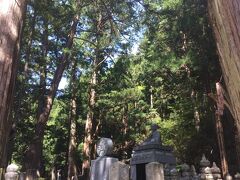 高野山・奥の院

樹齢約700年の杉木立がそびえる壮観な参道
戦国武将から文人、庶民、企業の墓石や祈念碑、慰霊碑が建ち並ぶ