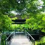 京都のおすすめコース「平等院-宇治上神社-鴨川出町飛び石-下鴨神社-出町ふたば」