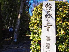 到着したのは鈴虫寺。
まだ時間が早かったのと平日だったので並んでいないけど、お休みの日ともなると階段の下よりももっと先まで長蛇の列が出来ているのだそうです。