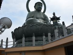 射水神社から、徒歩で10分弱で高岡大仏へ着きます。
高岡城址公園を出て、直ぐです。

三大大仏と言われ、奈良・鎌倉・高岡の大仏だそうです。
それ程大きくはありませんでした。
大仏寺と言う寺名で、浄土宗のお寺さんになります。
