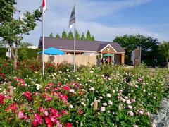 続きまして、びわ湖大津館イングリッシュガーデンへ
入園料350円
100mほど手前に有料駐車場があり、イングリッシュガーデン入園者は3時間無料でした
行かれるかたは駐車券お忘れなく
ミシガンクルーズ半額券もらえましたよ