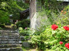 ２日目の午後は、長谷寺を参拝しました。大和の長谷寺を模して建立されたと言われており、牡丹が有名で「花の寺」と呼ばれています。