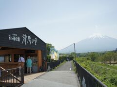 富士芝桜まつりは見頃を過ぎたようなので、花の都公園にやってきました。
富士山の姿がま近に見えます。