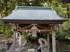 「紫尾区大衆浴場」さんの裏手は「紫尾神社」さんです
手水舎は龍になっていて素敵です(^_-)

