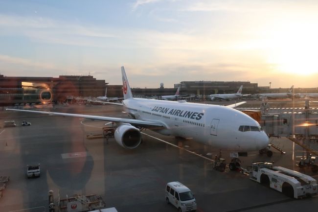 座席は後ろがトイレの背もたれガンガン倒して問題ない席にしました。