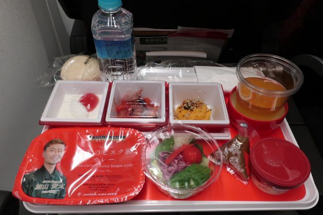 離陸後1時間ほどで夕食です。<br /><br />海老のビスク風カレー<br />だしでおいしく炊いたかぼちゃのサラダ<br />クミン香るラタトゥイユ<br />フレッシュサラダ ドレッシング添え<br />パンナコッタ フランボワーズソース<br />ハーゲンダッツ アイスクリーム<br /><br /><br />です。