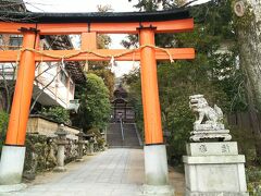 宇治神社

祭神　菟道稚郎子命（うじのわきいらつこのみこと） 

文教の始祖ということで子供の学業をお願いしました
