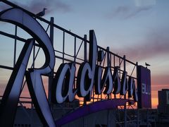 展望室から見た、ホテルのネオンサイン。