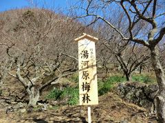 11:24
まずは、湯河原梅林を歩きます。