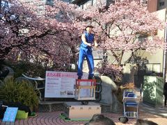 第8回あたみ桜糸川桜まつりが開催されていました。

おぉ！
車輪ひとつの台車に乗っているよ。
見事な大道芸だね。