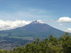 金時神社登山口から金時山に登ります。
日曜日は激混みでした。登っている途中も人が多くて立ち止まらなくてはいけないほどの混みよう。
