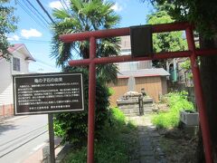 三渓園を後にして歩いていると見つけた亀の子石神社

漁師の網にかかった大亀が石に化したそう(←伝説です)