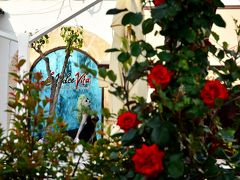 Piazza Garibaldi

薔薇の香りが鼻孔をくすぐる...モノトーンな広場を真っ赤な薔薇がアクセントになって、背後にはシニョーラの微笑み♪ってお店の看板だけどね（笑）