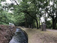 友人と二人で行ったのでレンタカーを借りて鹿児島市内へ向かう
(二人分のバス代と大差ないと考えた)
道に迷って偶然たどり着いた金山橋周辺の雰囲気ある場所