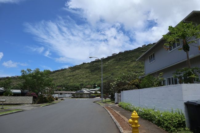 夕方までは予定がないので、おばさんの家に少しだけ遊びに行きました。