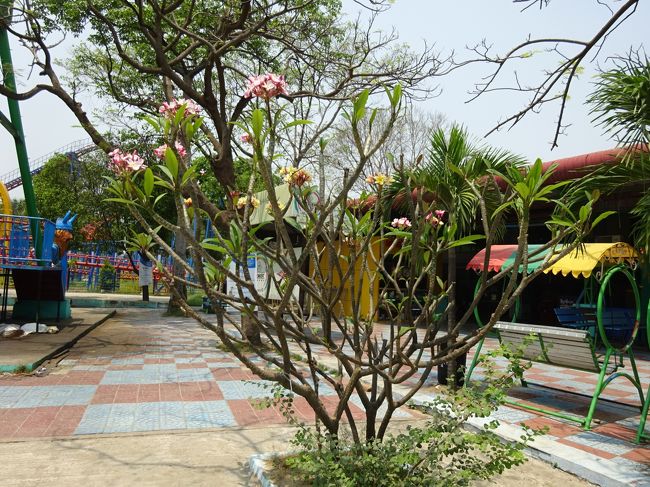 これは、作りものではなく、本物の木です。<br />お花が綺麗。