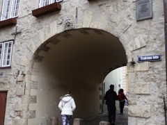 民家の中に開いた門が、スウェーデン門。