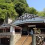 クリンソウ群生とヒマラヤの青いケシ＋神戸の夜景も～初めての六甲高山植物園・１泊２日