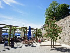 じきに頂上に着いた。カフェレストランの様なものが見える。左手に要塞への入り口がありそうだ。この中に入るとドナウ川と支流の川の合流点がよく見えるらしいが、ゆっくりする時間があるかどうか不安だったので、外にある眺望ポイントの１つを目指した。写真の中央、城壁の上に人が立っているところである。