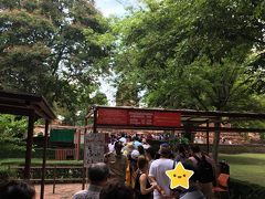 やってきました世界遺産アユタヤ遺跡！
まずは「ワット・マハータート」へ。
